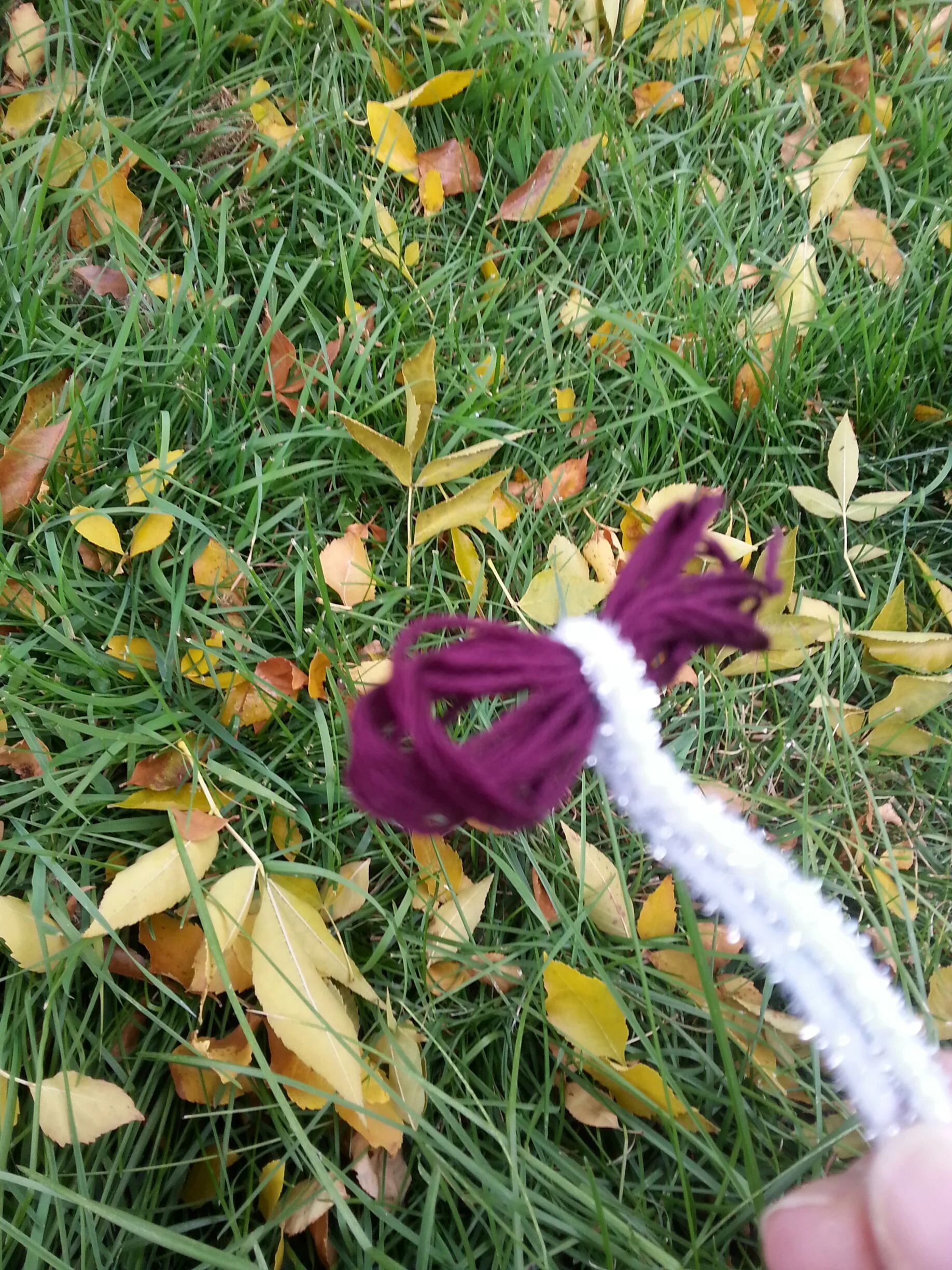 20131014_170729_resized.jpg