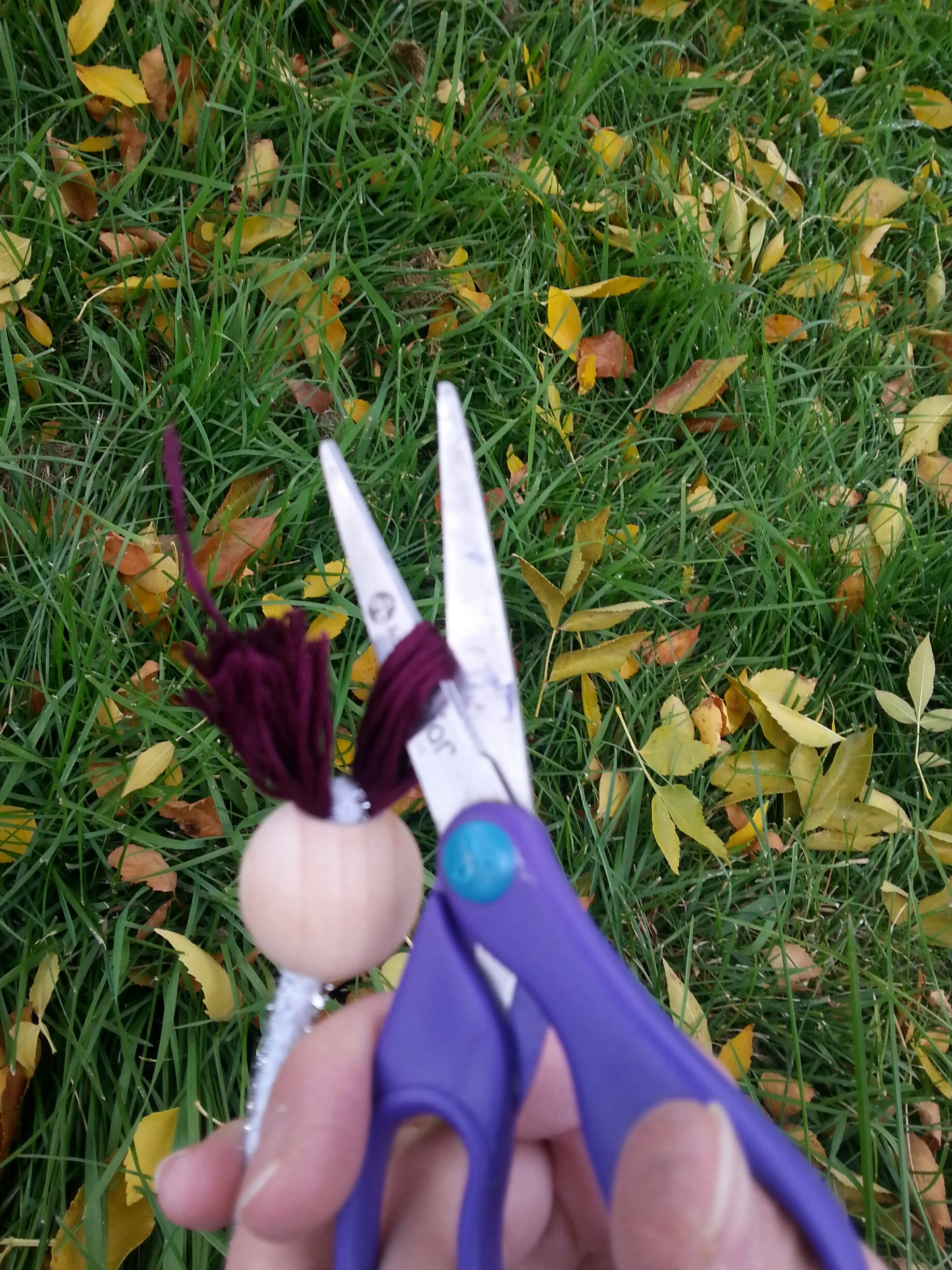 20131014_170922_resized.jpg