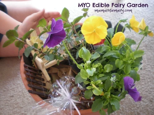 MYO Edible Fairy Garden