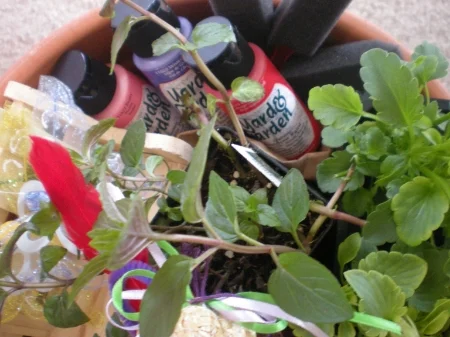 MYO Fairy Garden