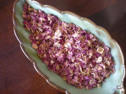 pink rose petals