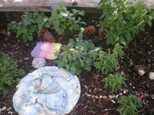 lemon balm, peppermint and self heal