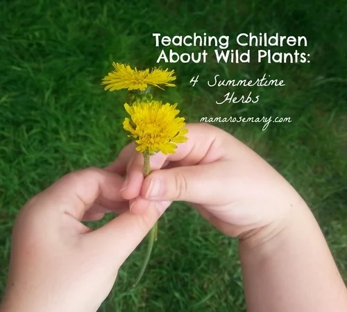 Originally published in Natural Herbal Living Magazine * , May 2014.