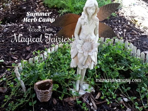 fairygardenselfheal.jpg