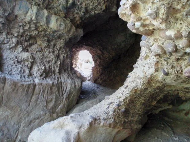 The Power Of Clary Sage Essential Oil