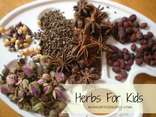 Botanicals all set up for creating mandalas.