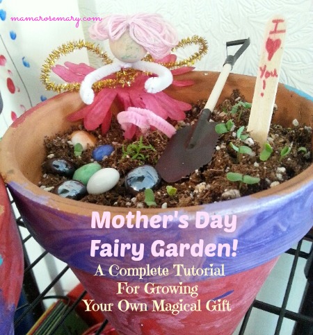 Mother s Day Fairy Garden A Complete Tutorial For Growing Your