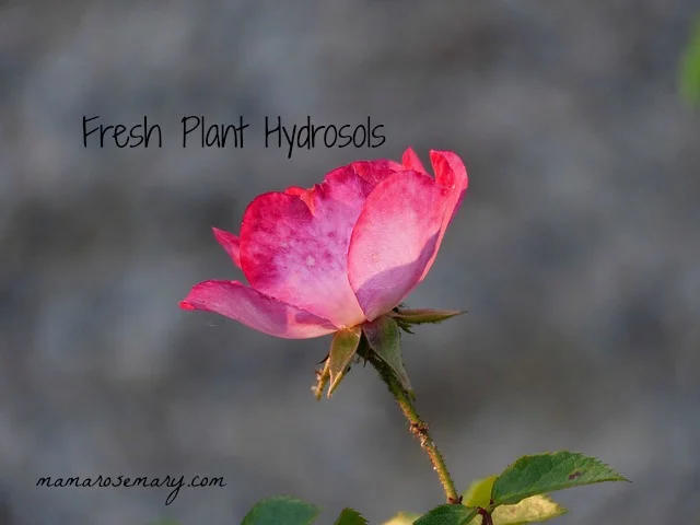 ORIGINALLY PUBLISHED IN NATURAL HERBAL LIVING MAGAZINE * , July 2014