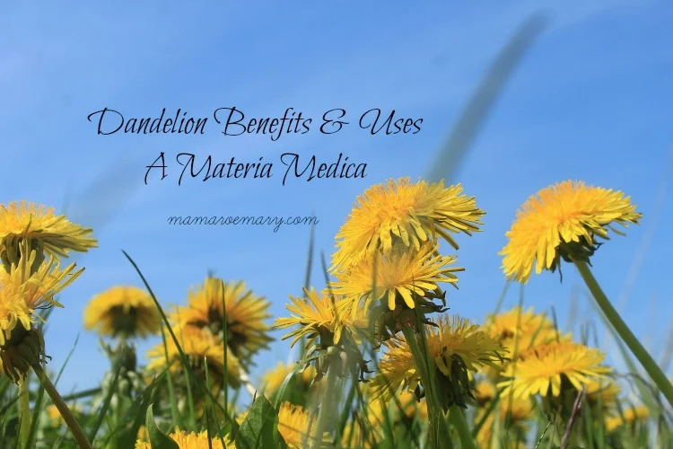 THIS HERBAL MONOGRAPH WAS ORIGINALLY PUBLISHED IN NATURAL HERBAL LIVING MAGAZINE * , April 2014