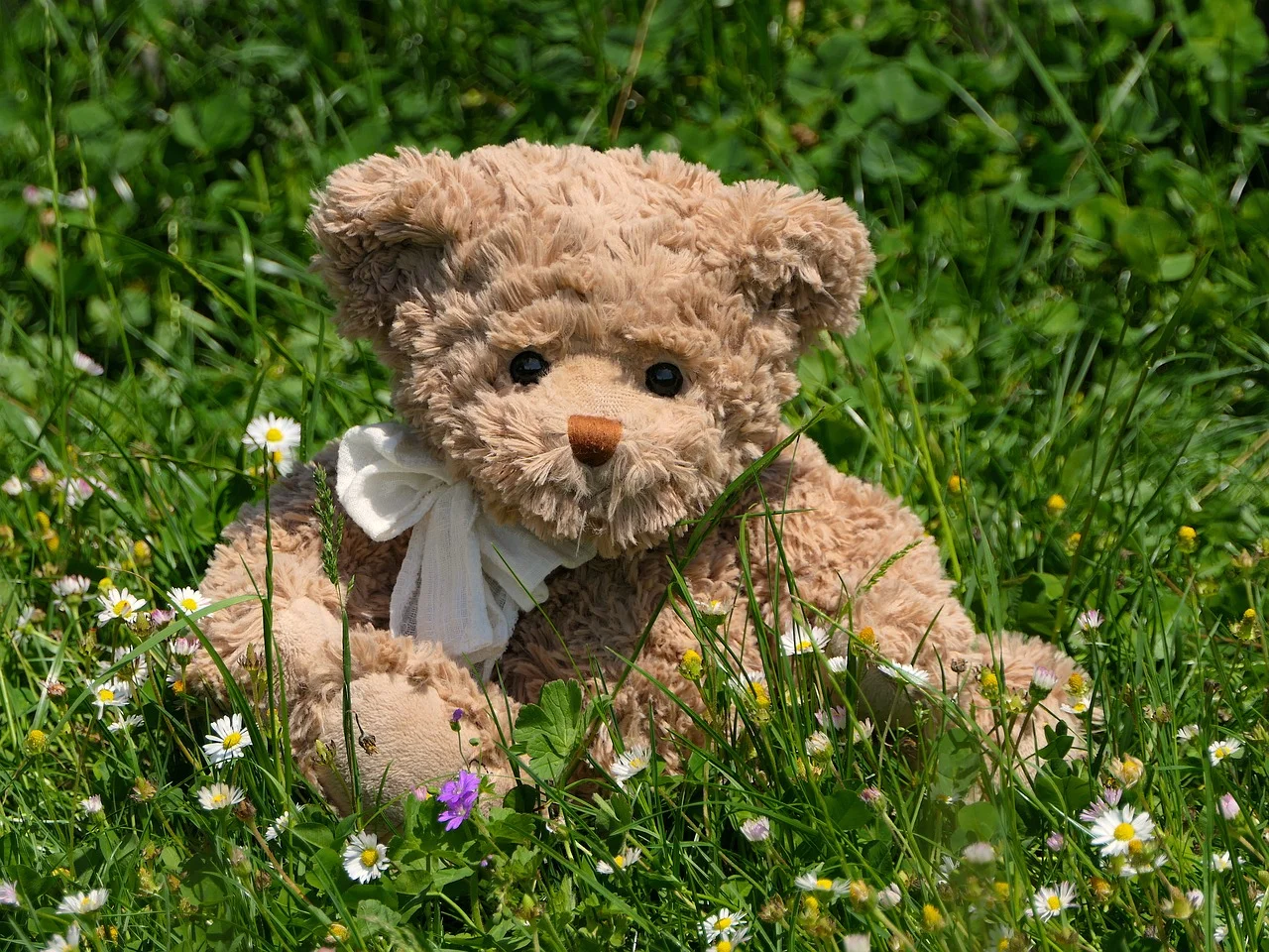 teddy-3394723_1280.jpg