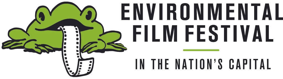 DCEFF logo.jpg