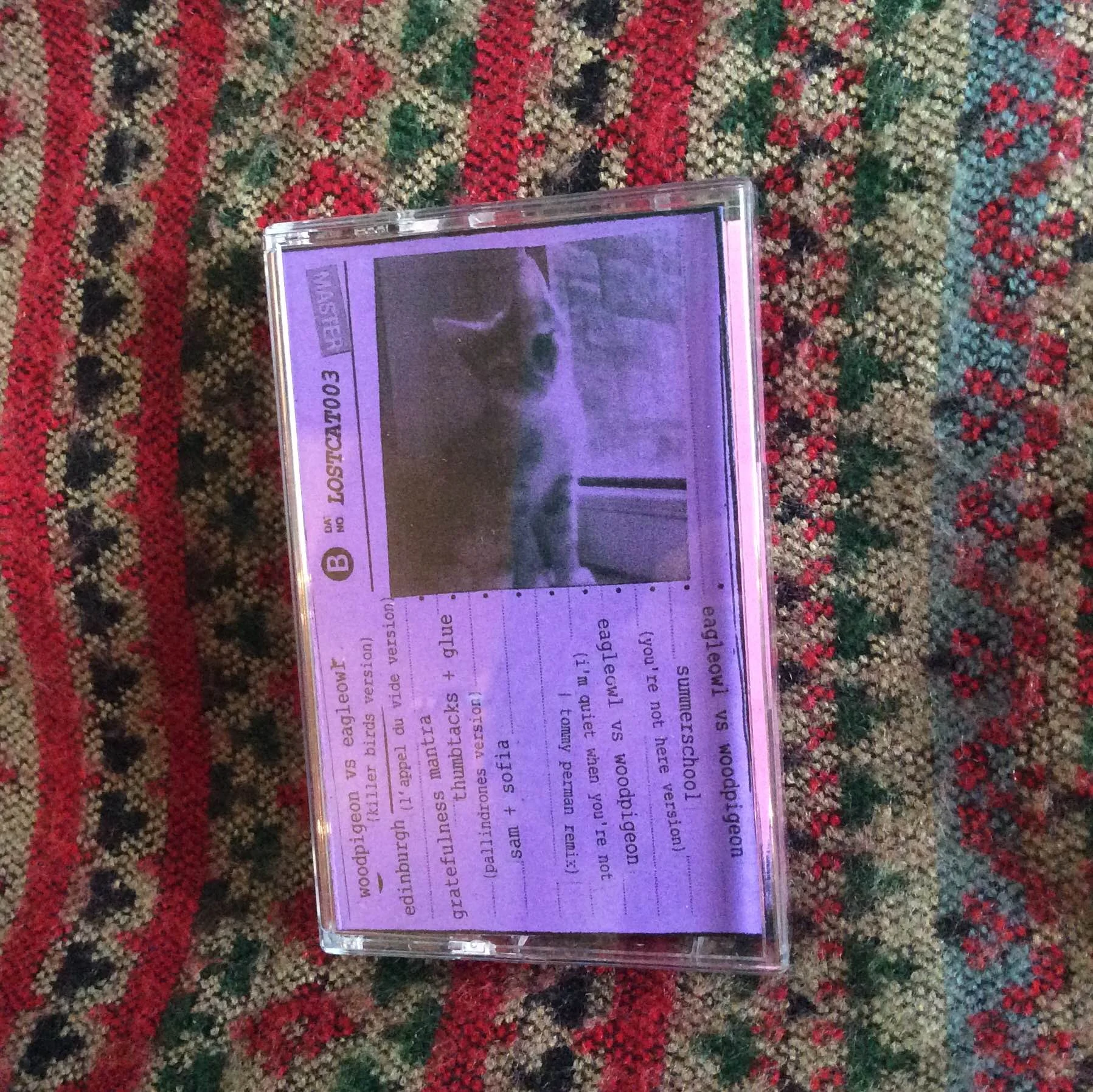 LOST CAT 003 - eagleowl / Woodpigeon