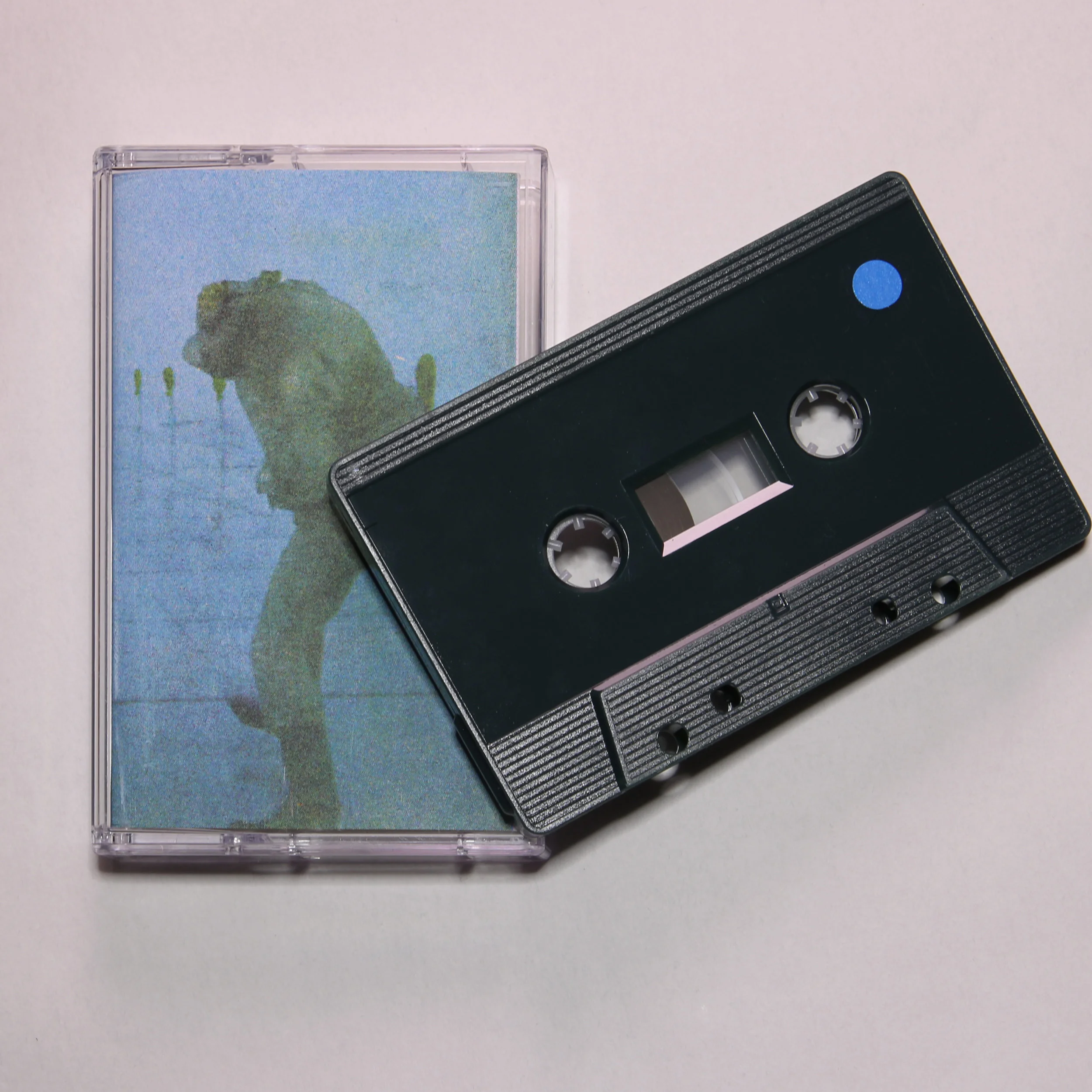 Devonanon Lost Cat Cassette and case 2.jpg