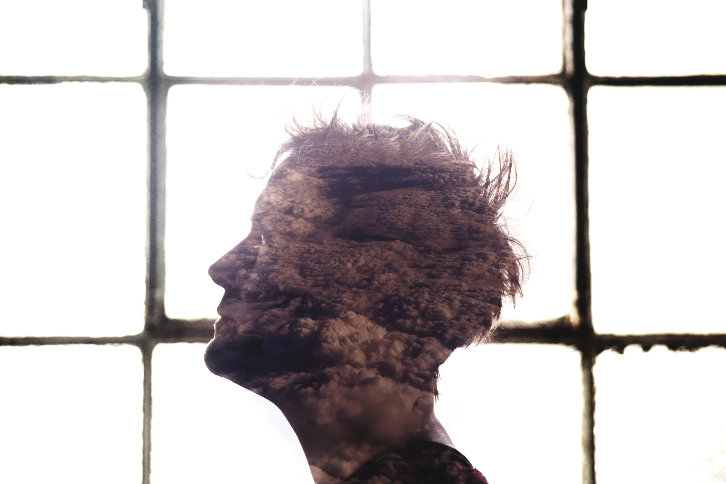 Alabaster dePlume 3 by Fabrice Fabrice Bourgelle.jpg