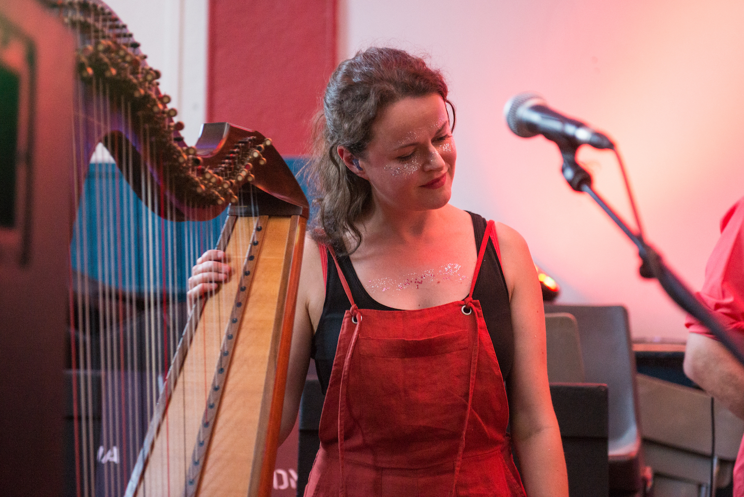 LOSTMAP_STRANGEINVITATION_2018-89 - PICTISH HARP.jpg