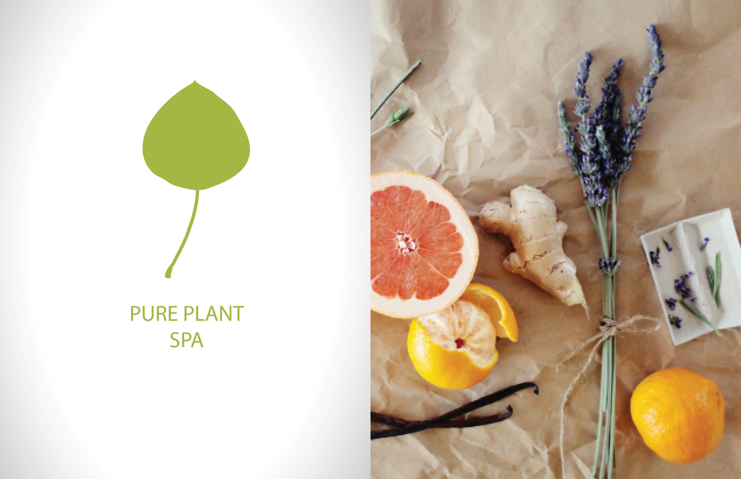 BSP for Pure Plant Spa_2.17.jpg
