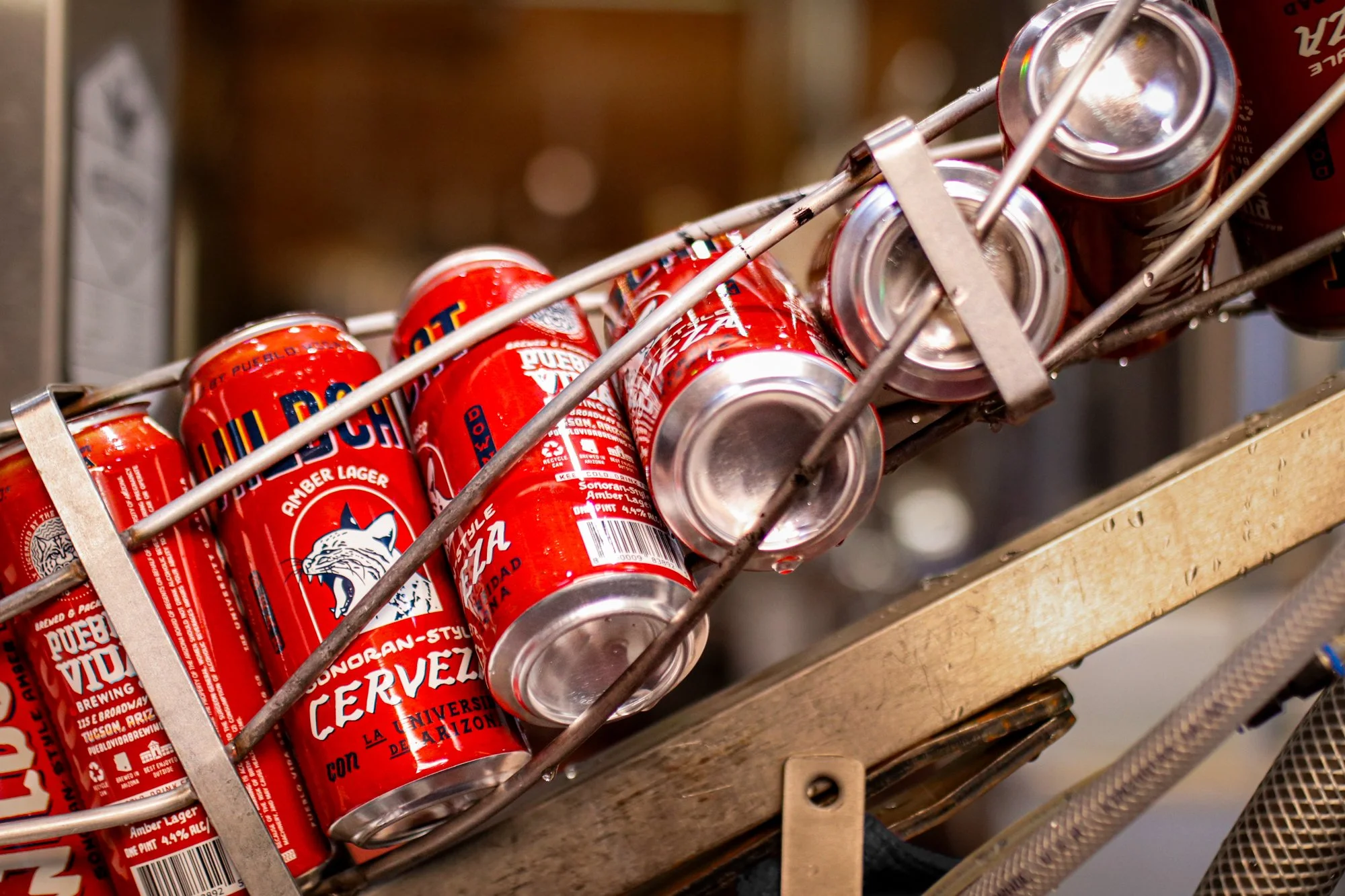 Wildcat Cerveza Release Party @ Caps &amp; Corks and Tap &amp; Bottle North!