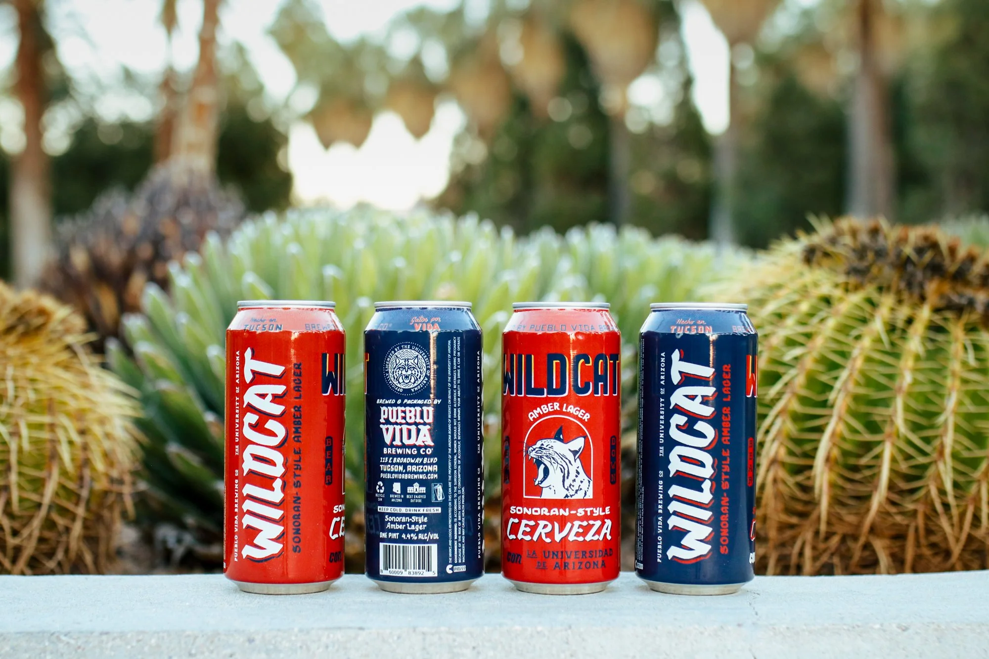 Bear Down Friday Pop-Up at Gentle Ben’s