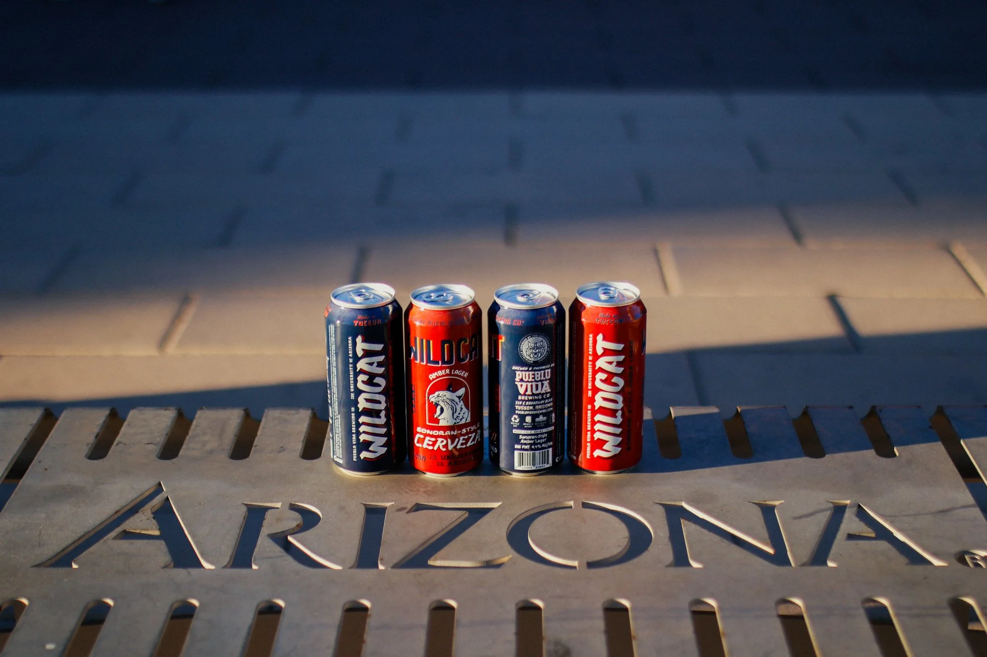 Homecoming Tailgate Party on the UA Mall!