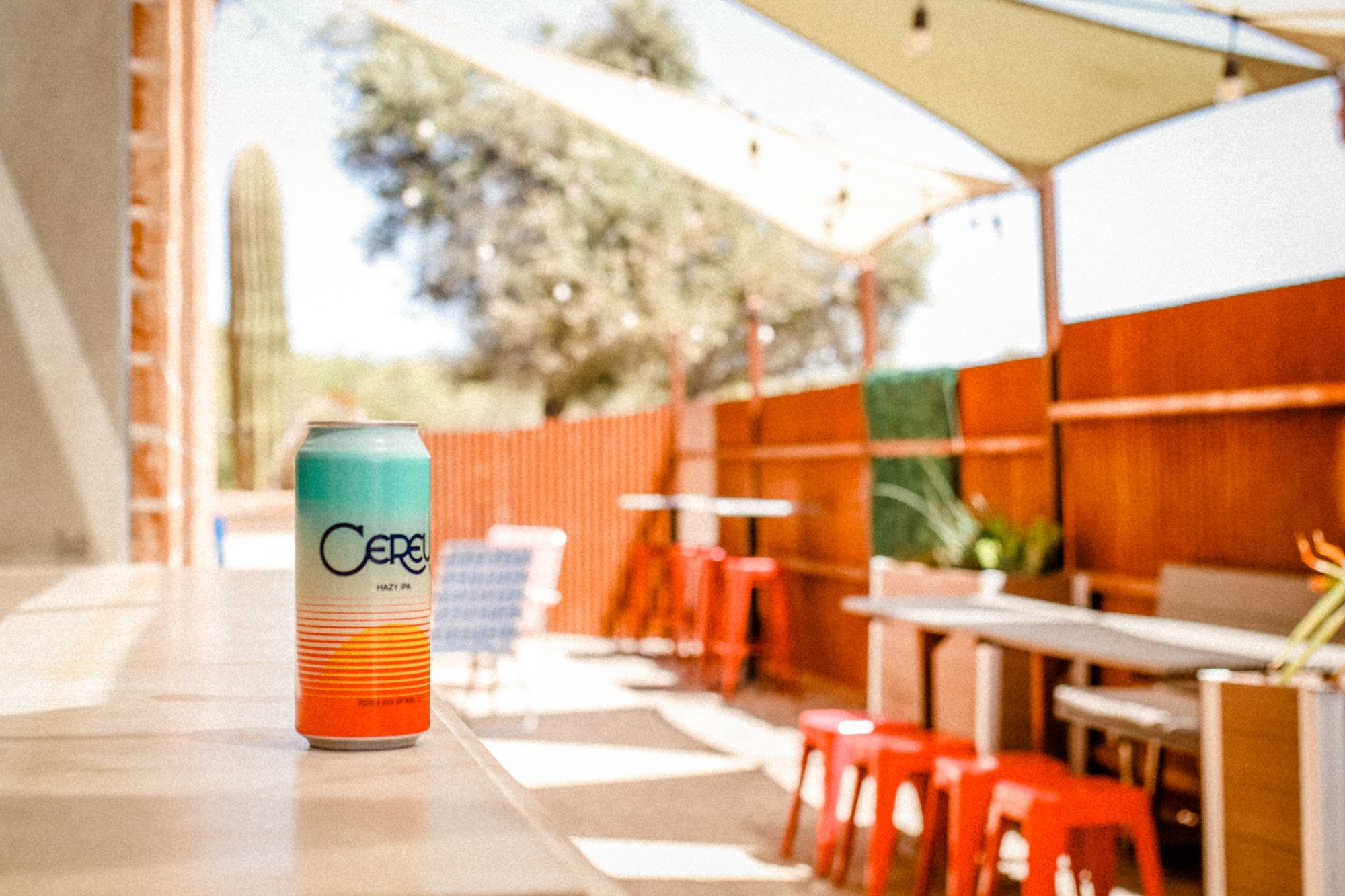 Tap & Bottle North 4.jpg