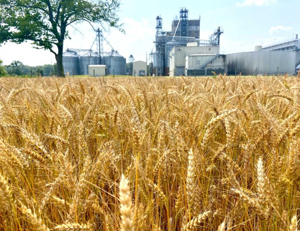  Photo courtesy of Proximity Malt. 