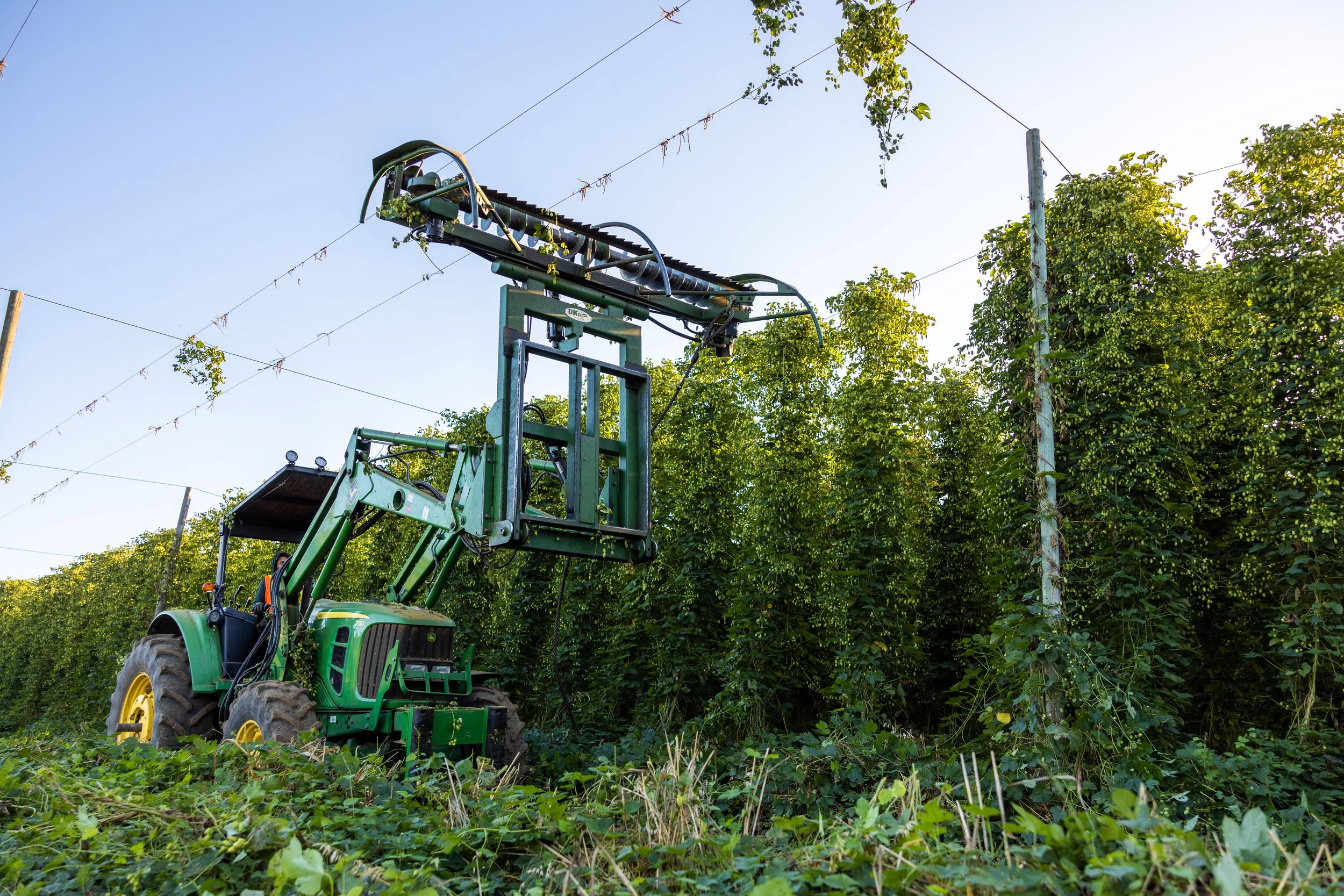  Photo courtesy of Indie Hops. 