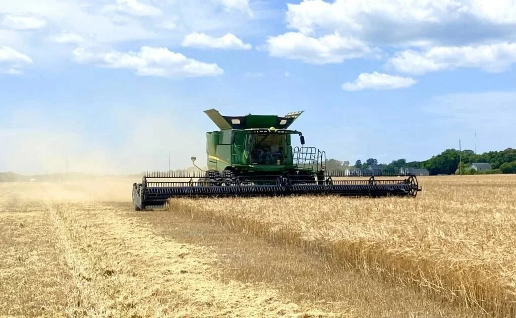  Photo courtesy of Proximity Malt. 