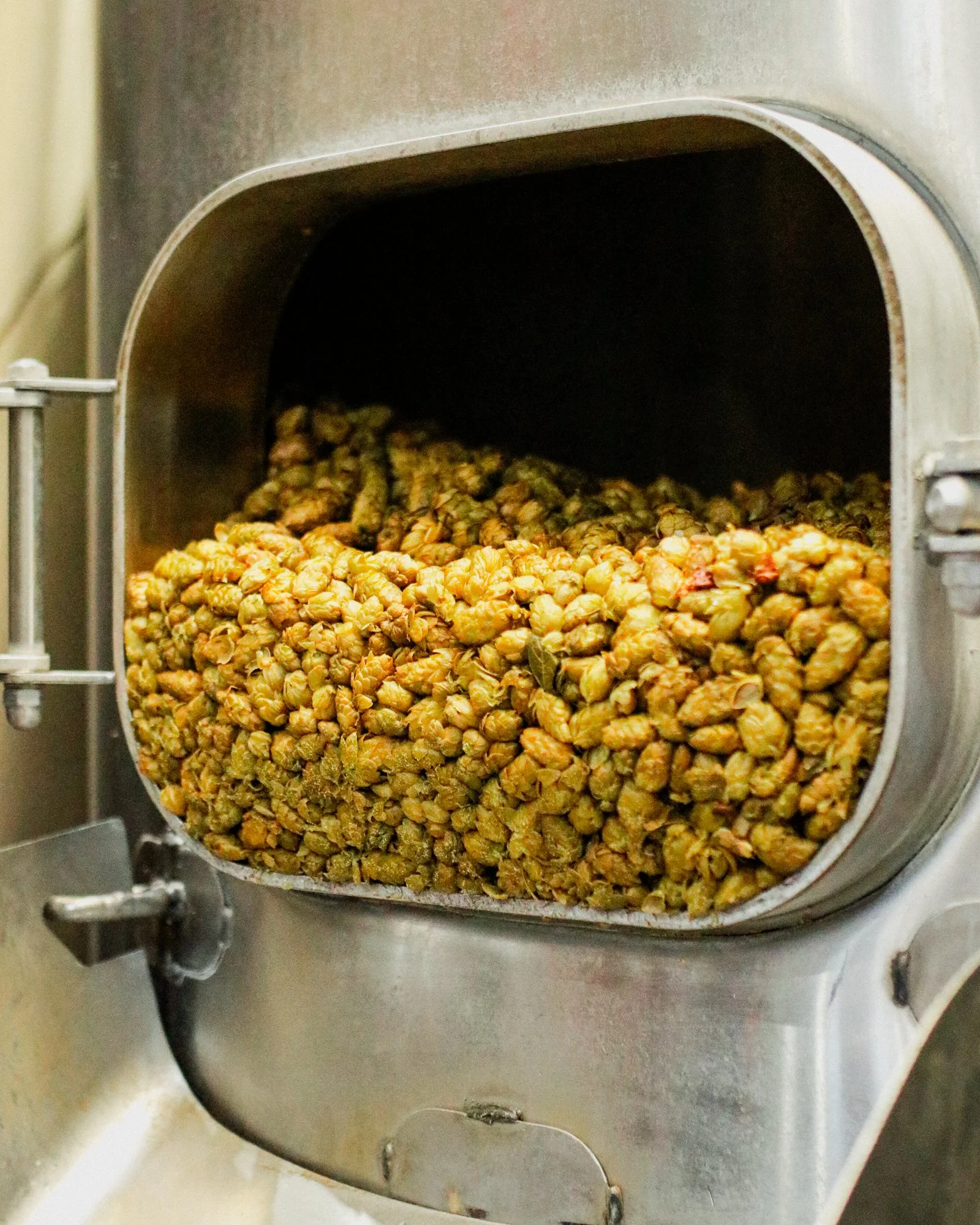 2026 Fresh Hop Logistics - Brewhouse 07.jpg