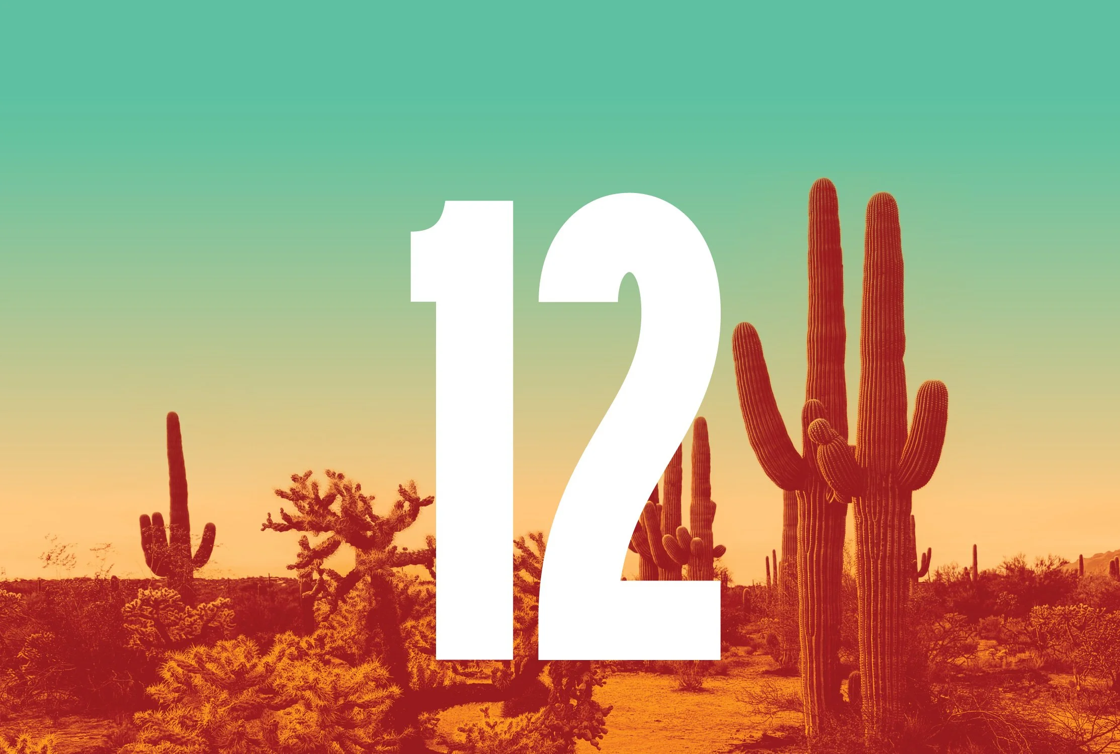 Pueblo Vida's 12th Anniversary Celebration!
