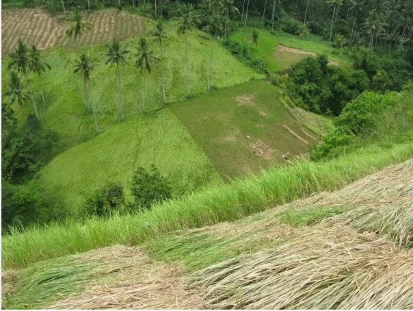 bali11.jpg