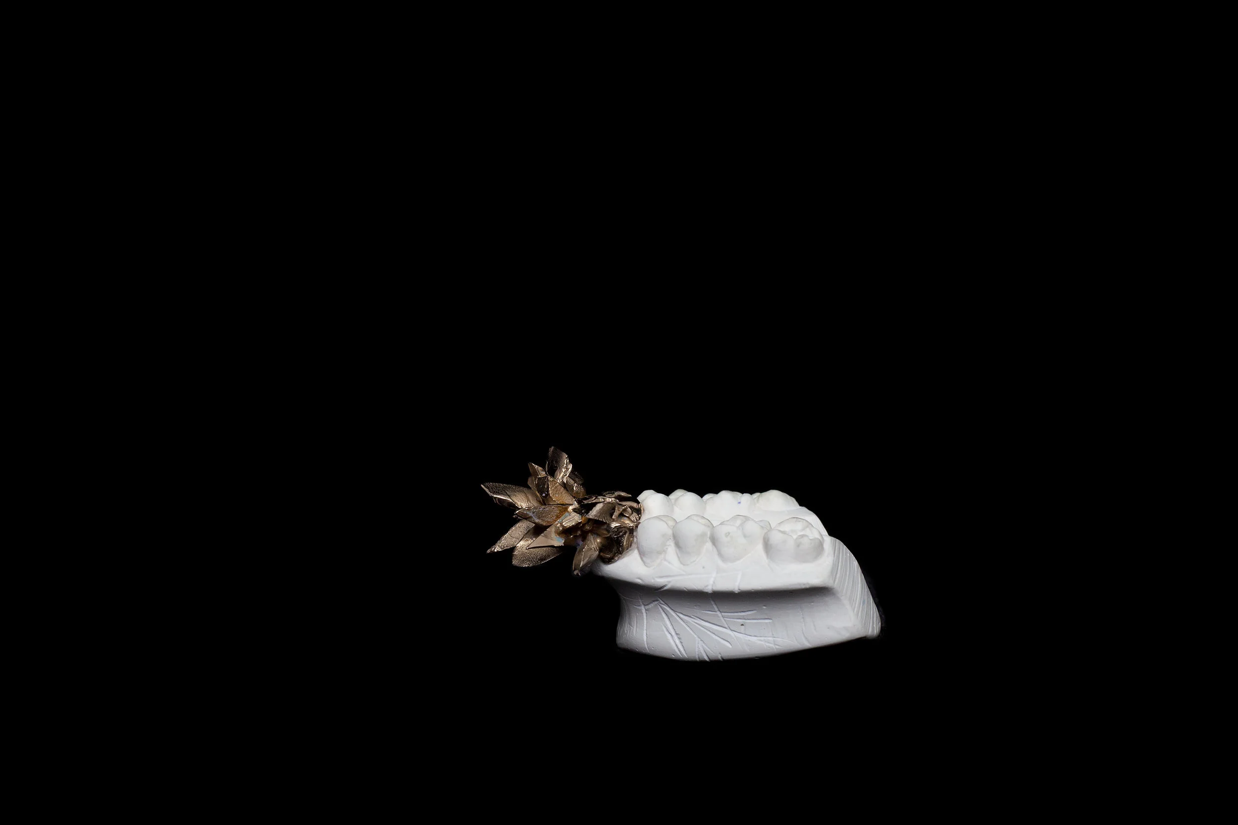  Coruscus, 2015, New York, N.Y. Sculptures: Plaster, Polished Bronze, Hair Gel, 4x4x4 in.  Coruscus encapsulates a collection of small sculptures and ornate installations that play between scientific curiosity and perverse deformation, cutting into t