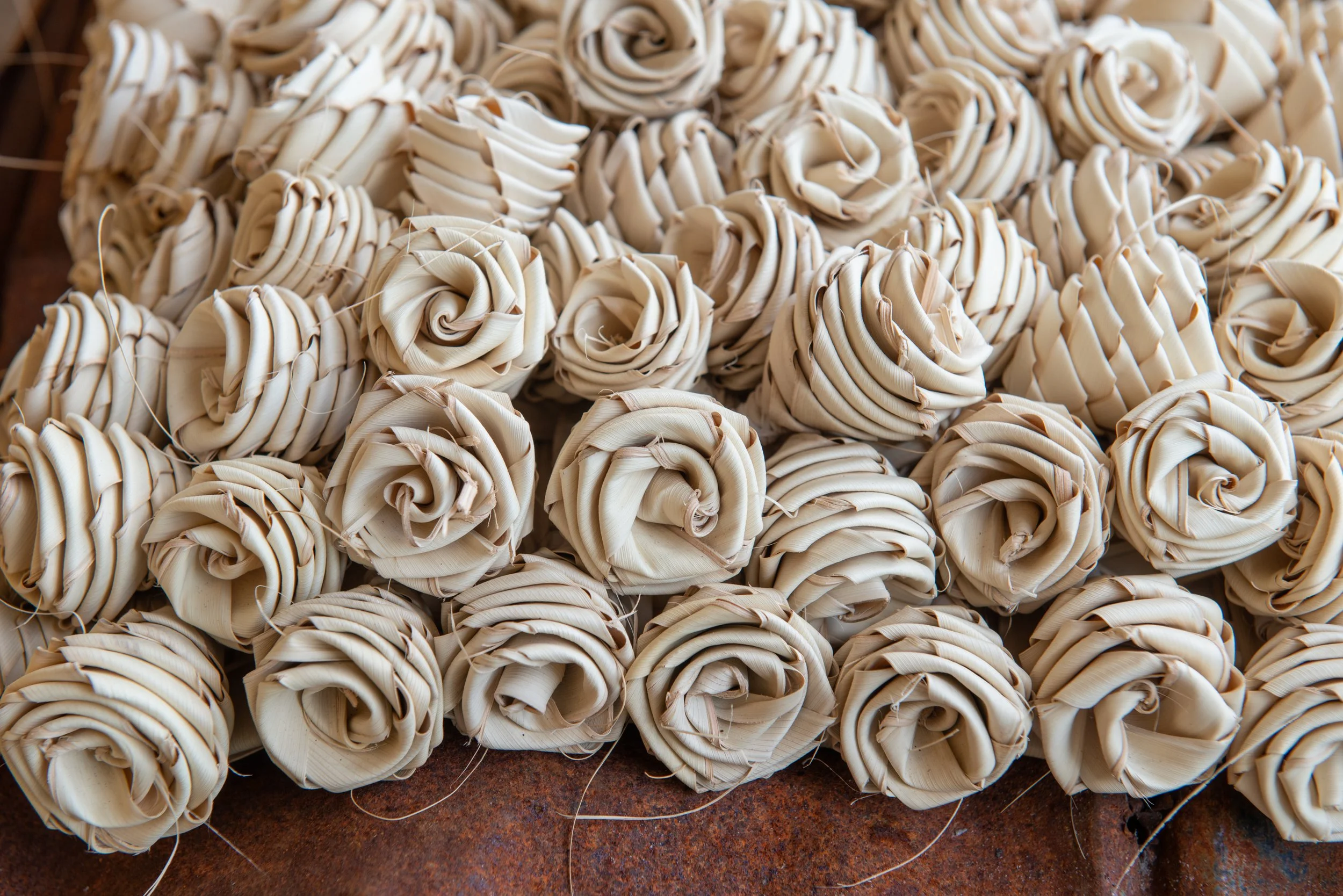 _RRP6261_web_23 2.jpg