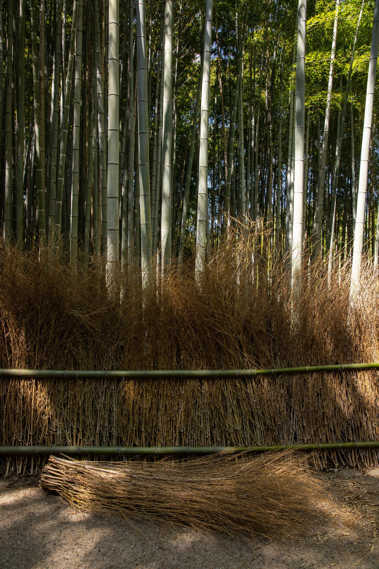 20190914_Arashiyama_094.jpg