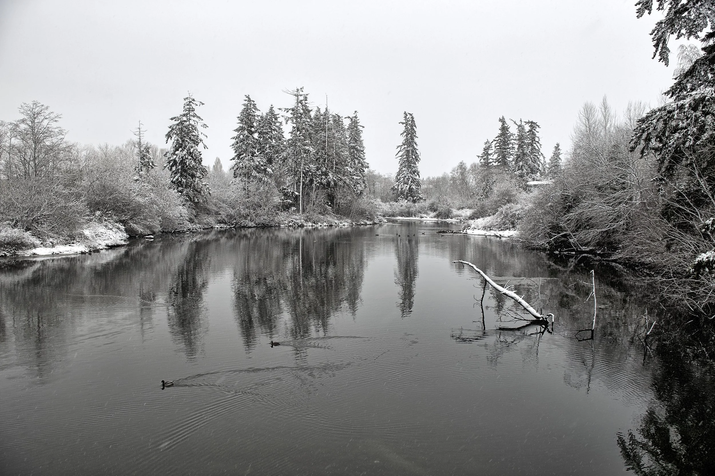 The mouth of Clear Creek; Silverdale, WA (Today)