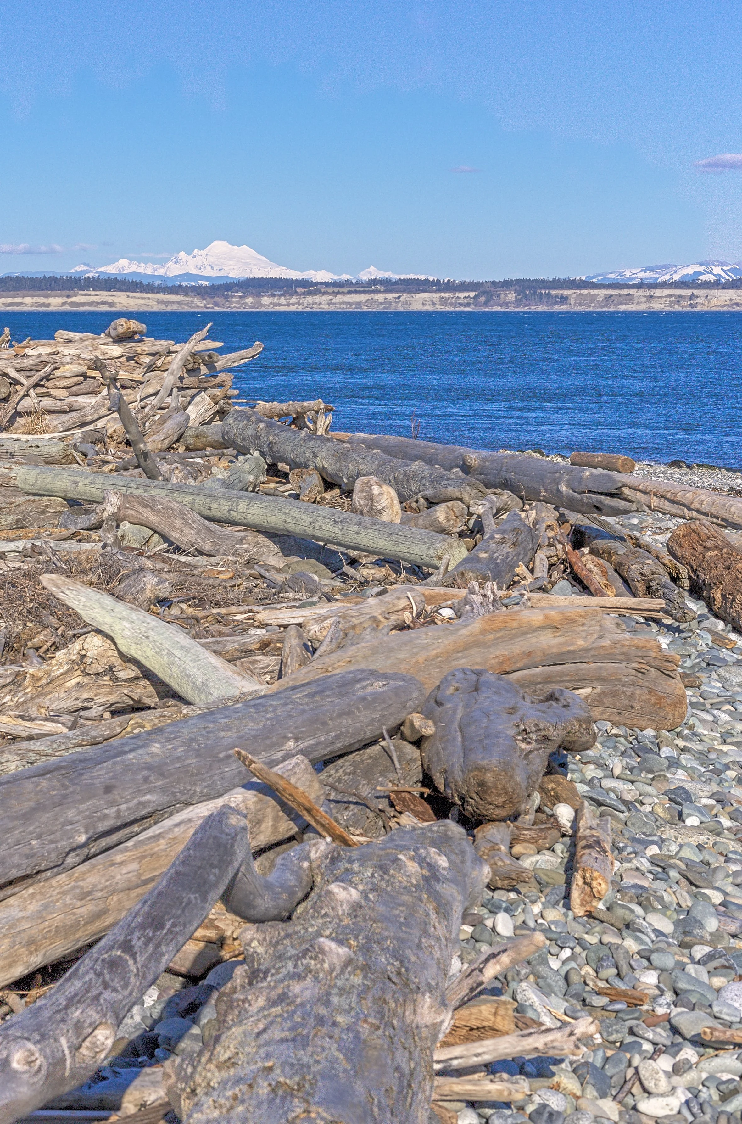 Mt. Baker from Fort Worden, WA (02/26/2019)