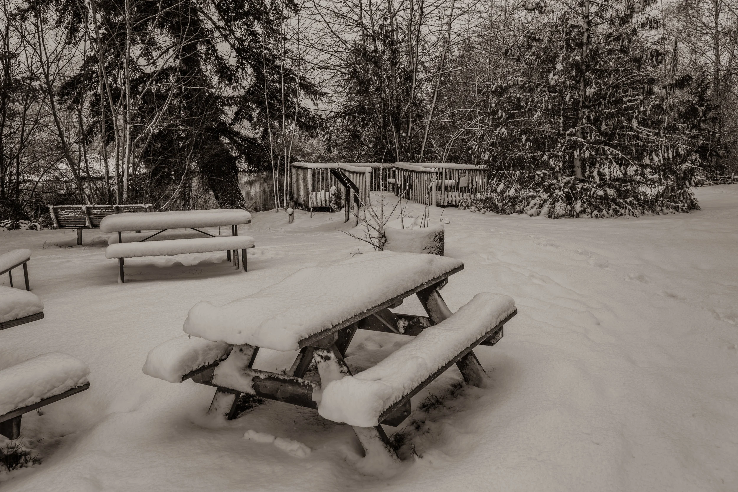 Silverdale, WA (02/11/2019)