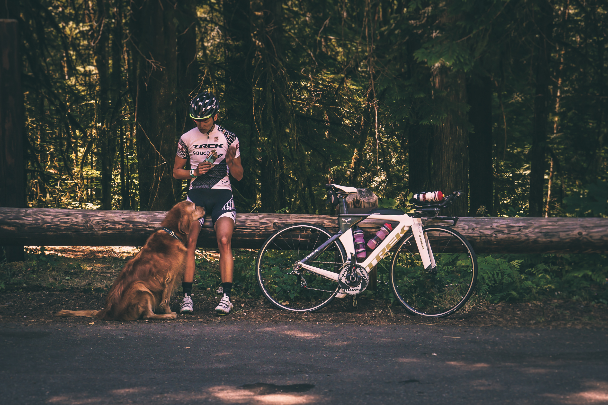 bike 2-1.jpg