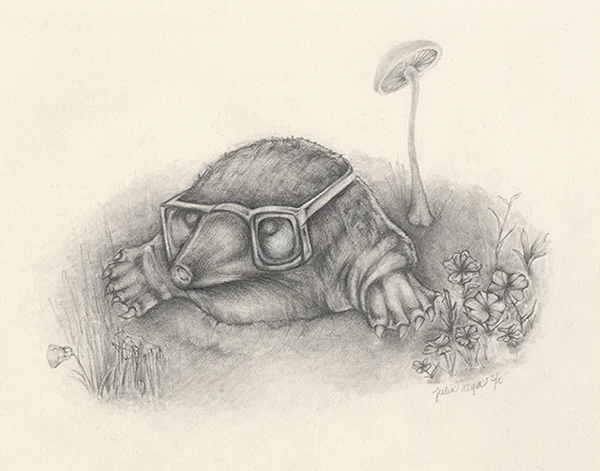 CURIOUS MOLE Graphite Illustration