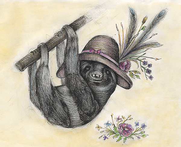 SLOTH IN SUNDAY BEST Pen & Ink with Colored Pencil