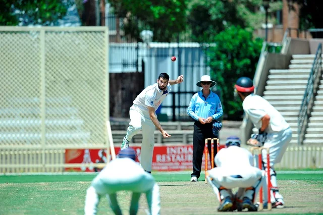 SUCC News: Weekend Wrap-up