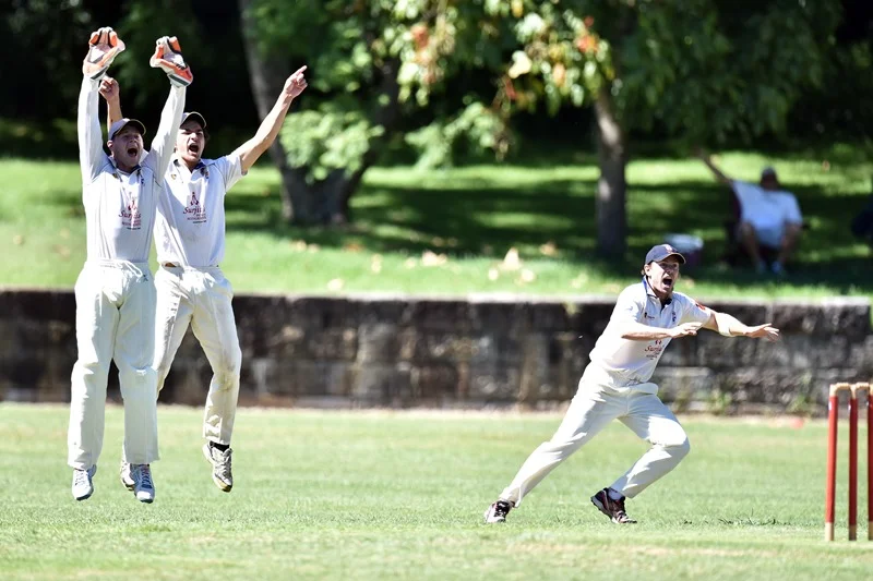 SUCC Feature: Five things we learned... Round 11