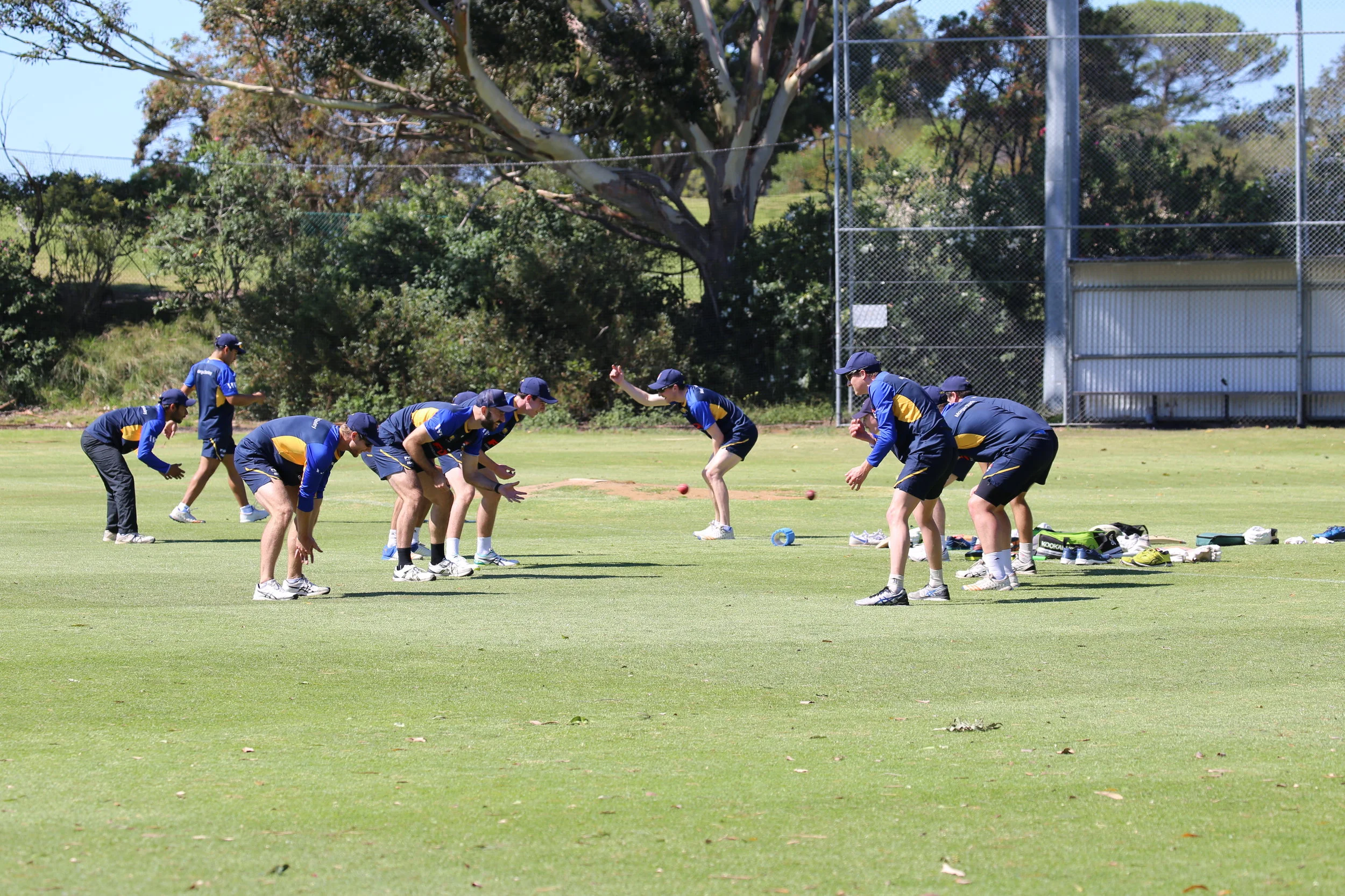 ICYMI: 4 from 5 + A Ticket to the SCG