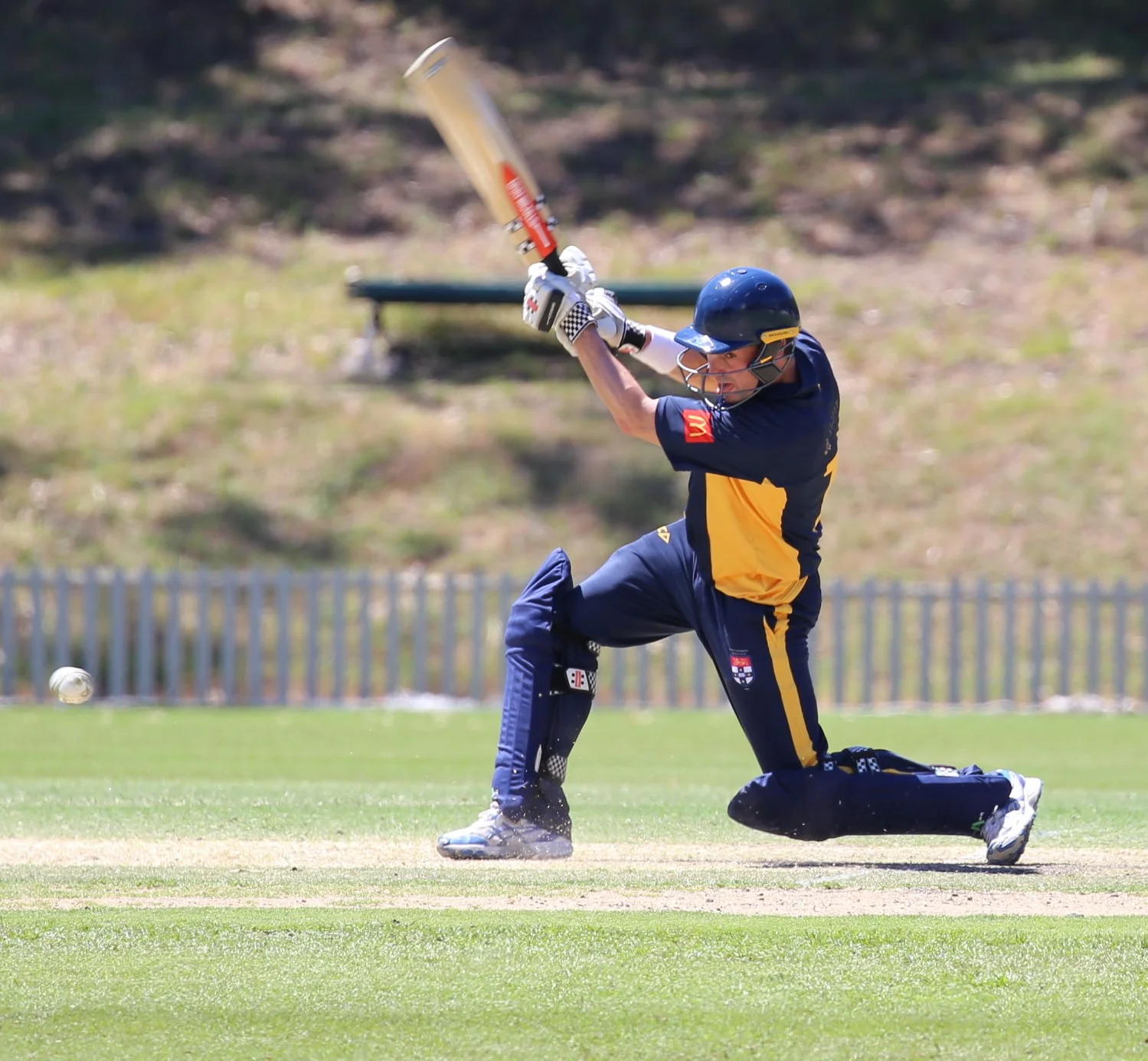 SUCC in the Community: Riverview T20 Charity Match