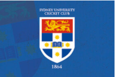 Just not cricket! Unusual 2020 NSW Premier Cricket season finishes in equally unusual circumstances