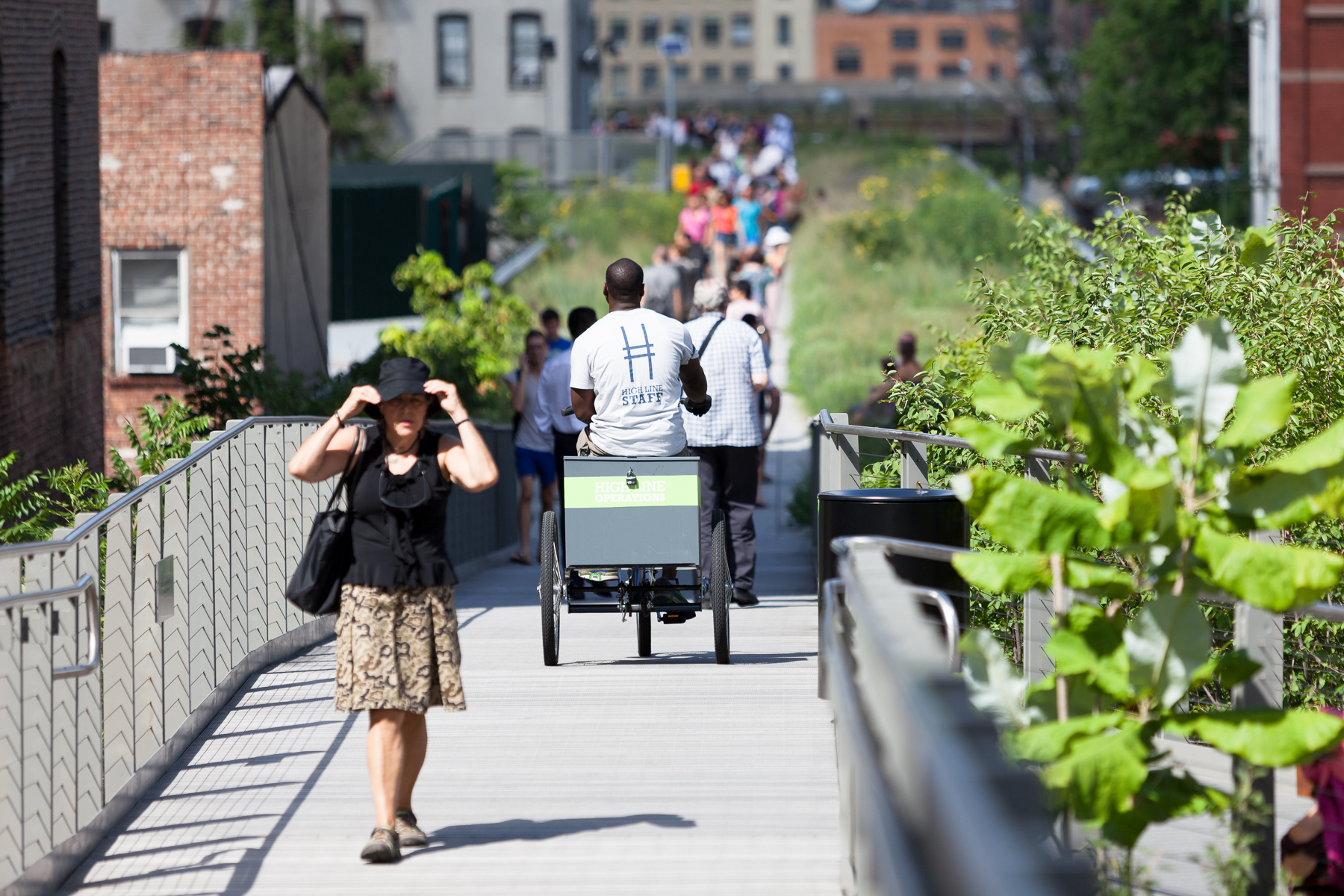 High Line-6.jpg