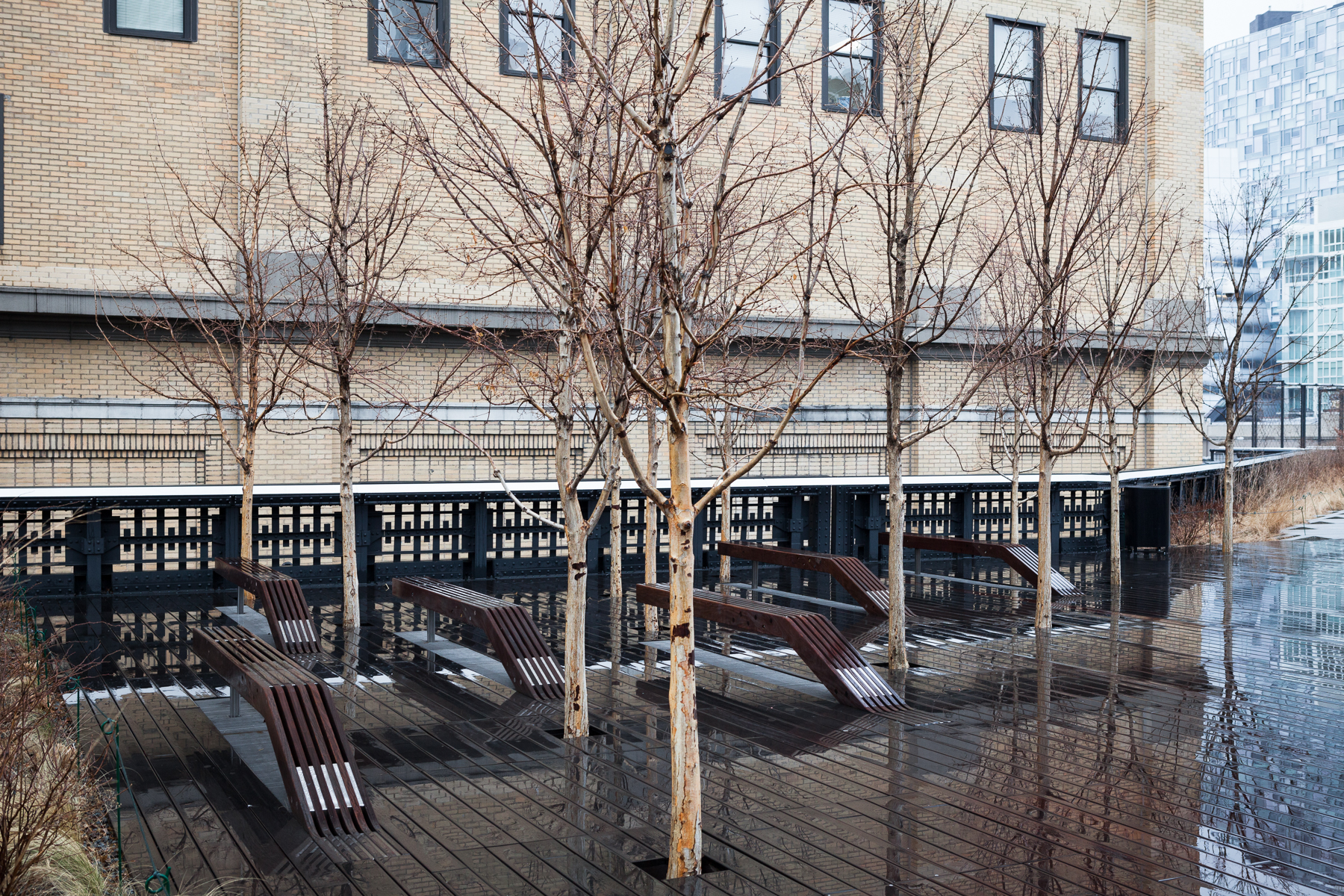 High Line-9.jpg
