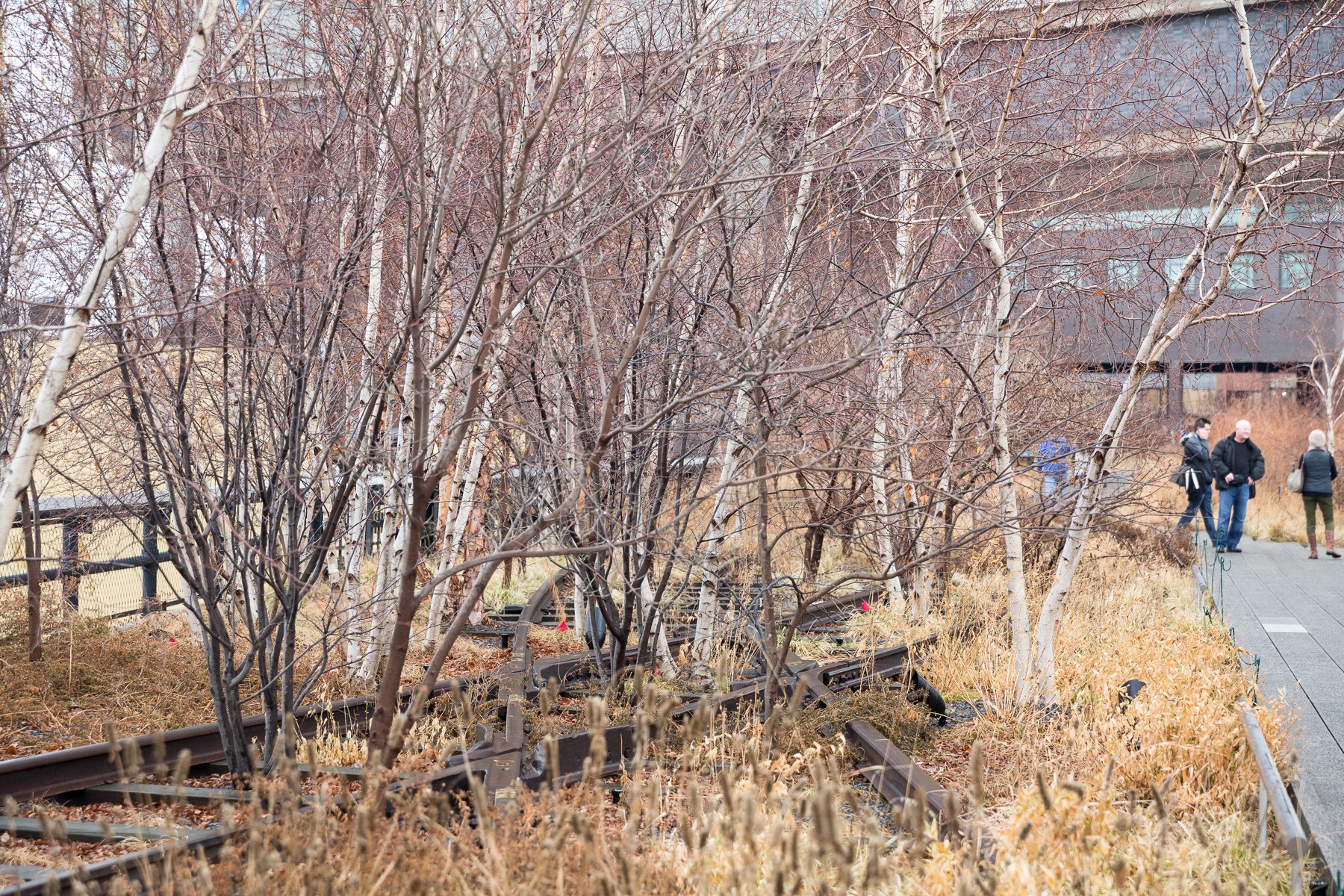 High Line-21.jpg