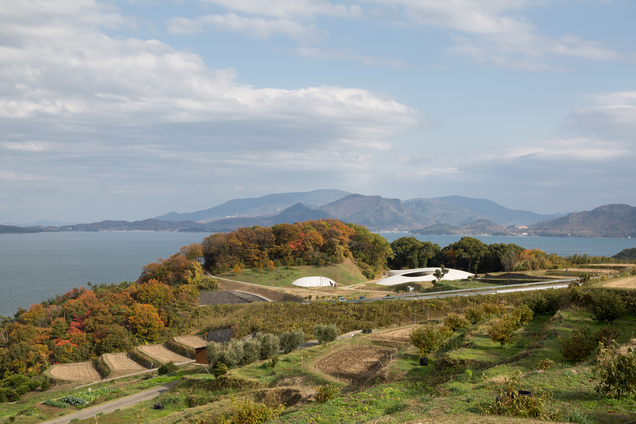 site-overview-teshima-art-museum-nishizawa-naito-zachary-newton.jpg