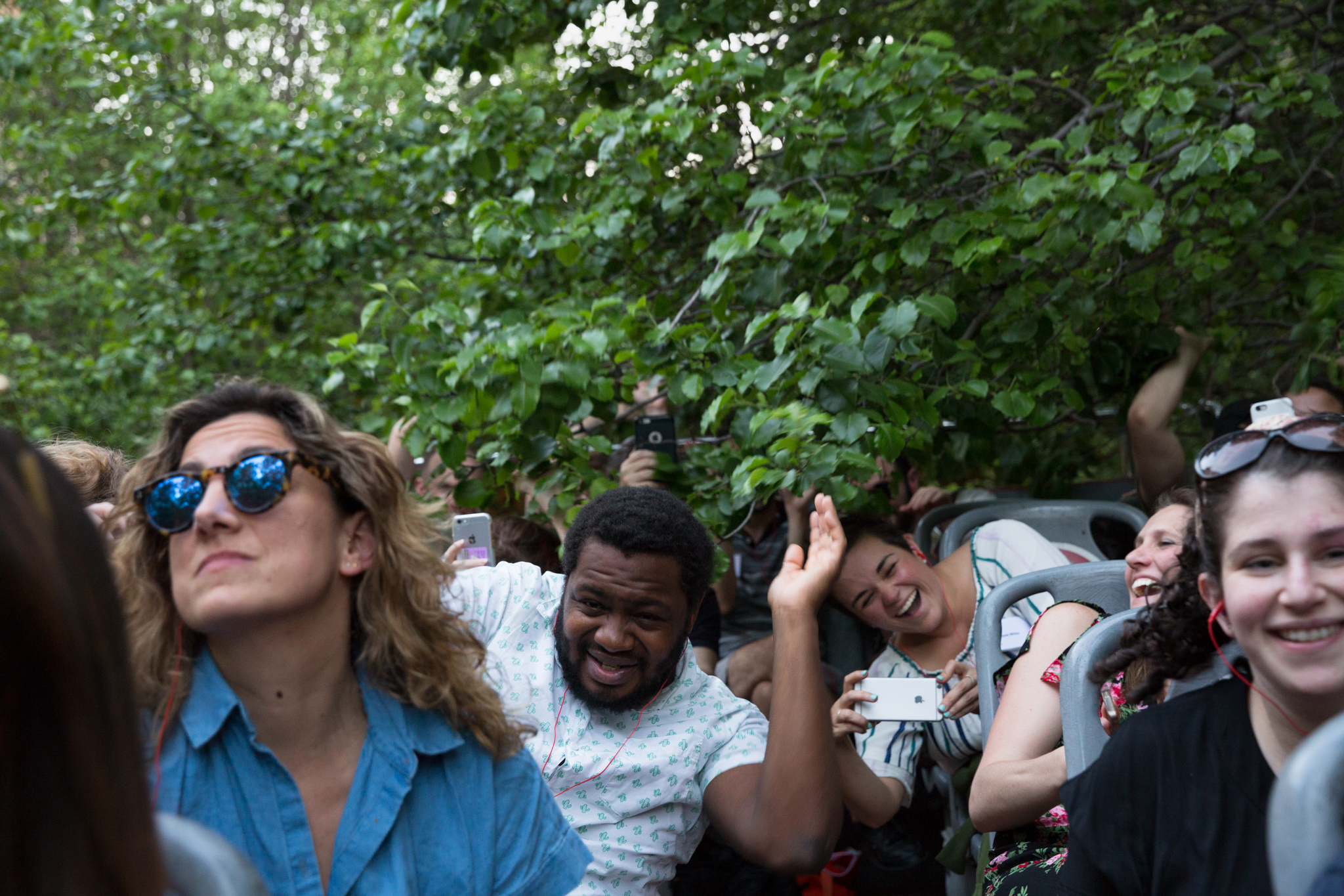 in-trees-redistricting-non-sightseeing-tour-van-alen-institute-zachary-newton.jpg