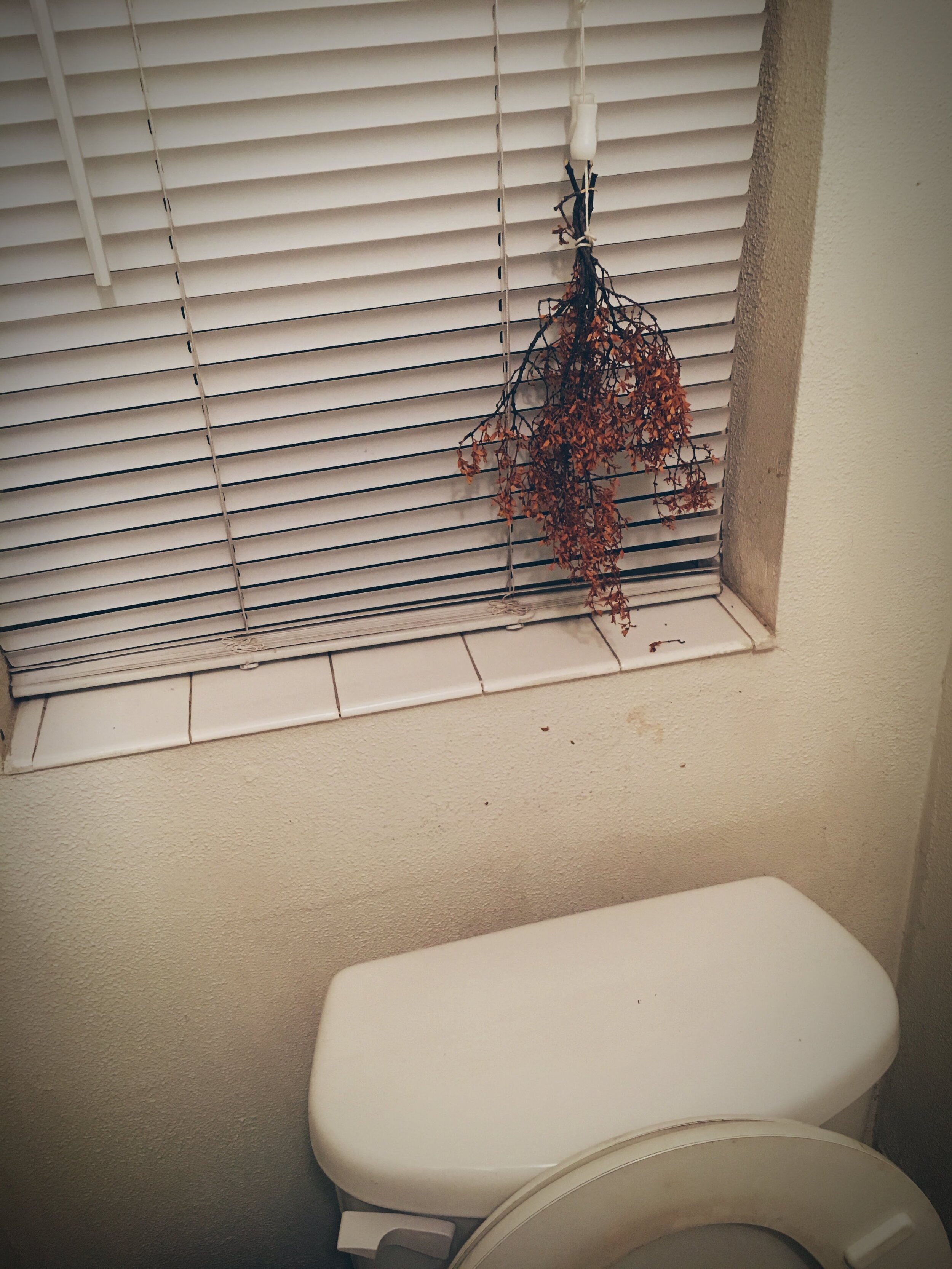 Cait Toilet.JPG